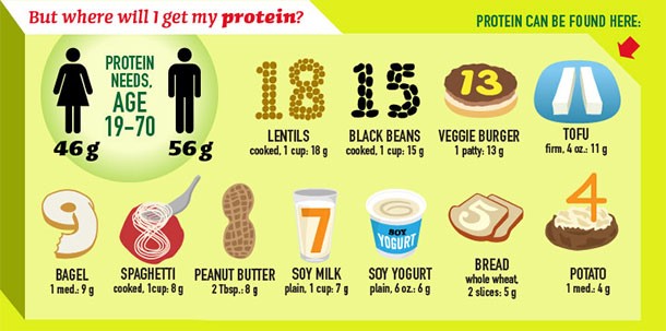 Protein In Beans Chart